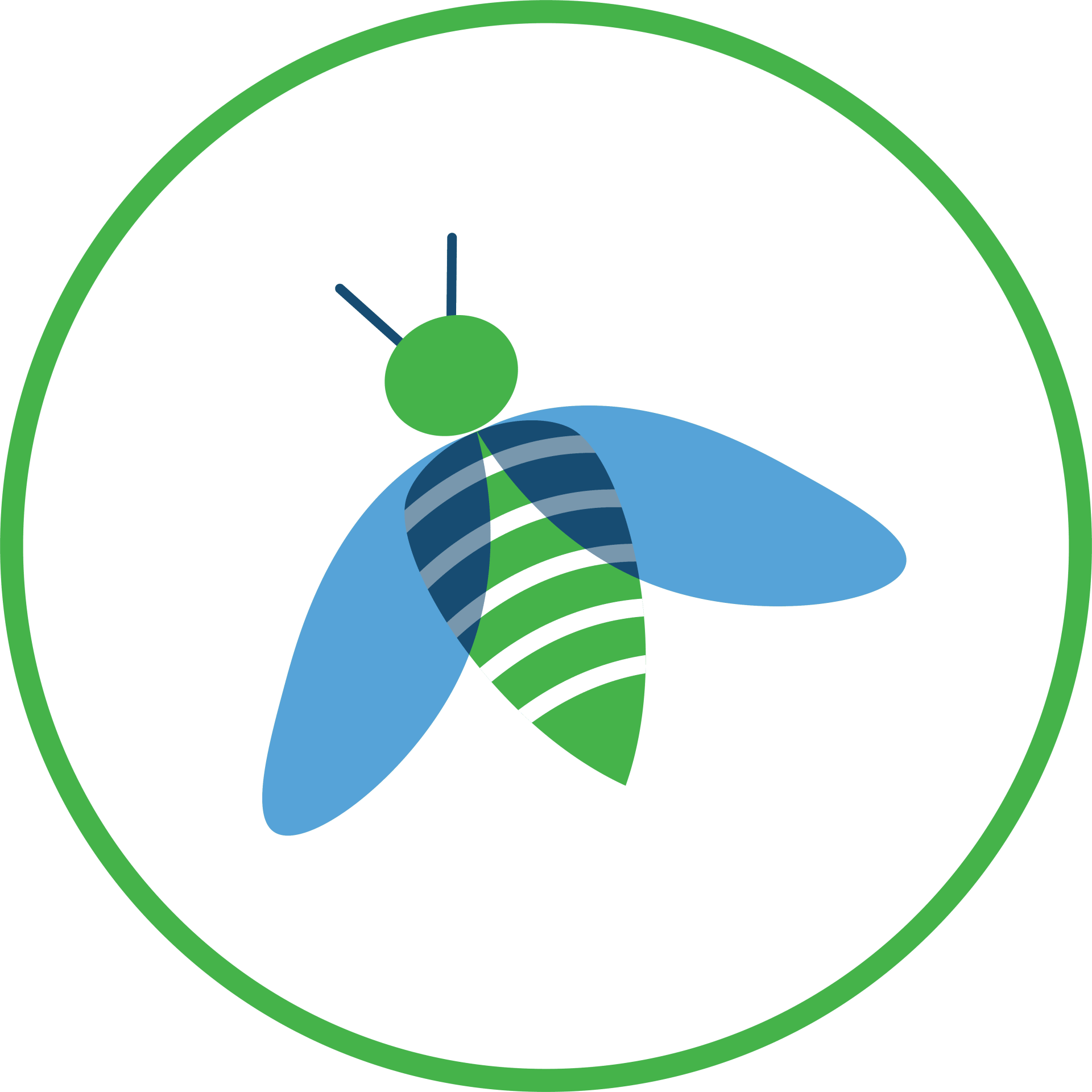 Friends of BSP HoneyBee Membership Level