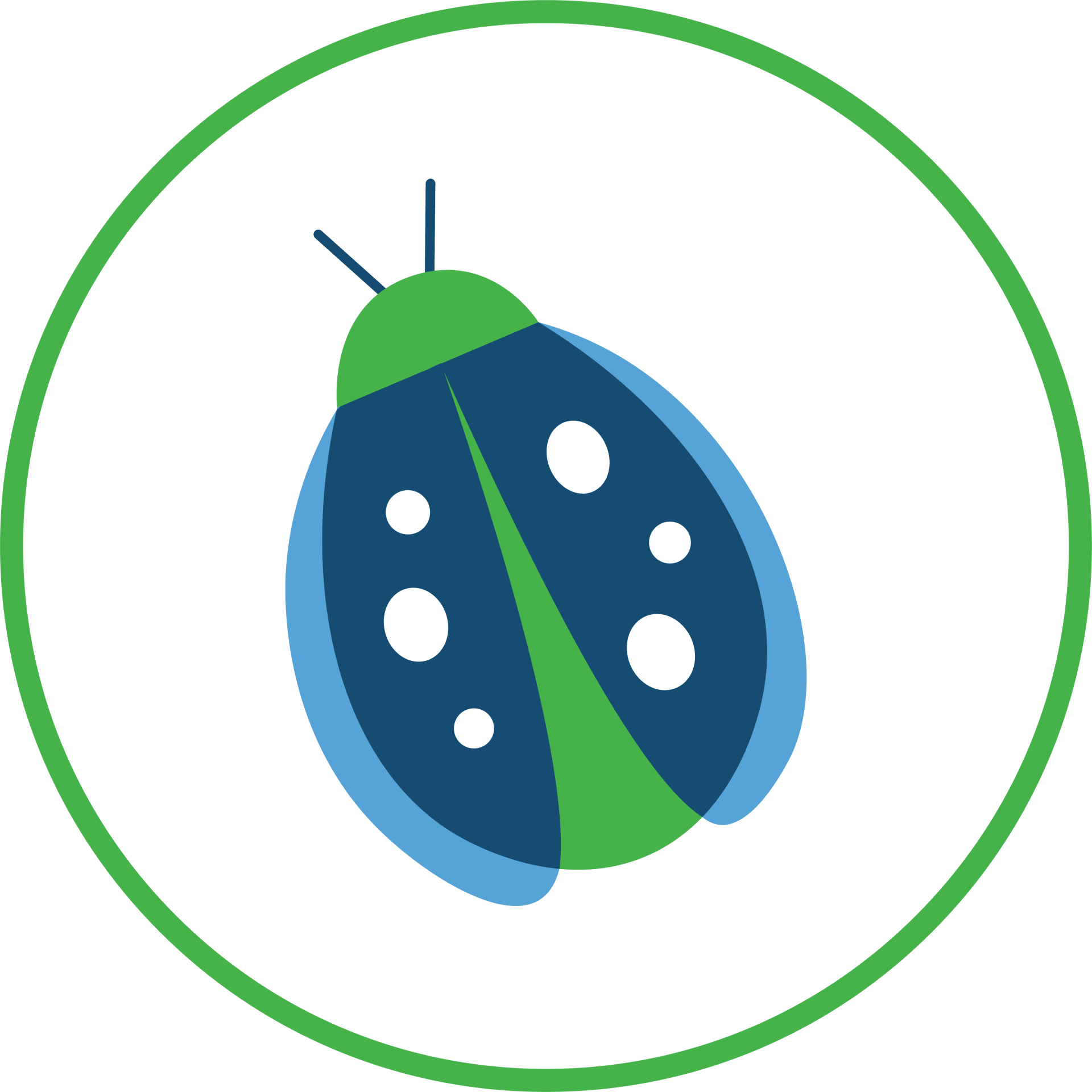 Friends of BSP Ladybug Membership Level