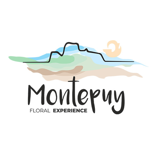 Montepuy Floral Experience